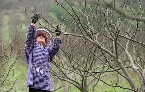 �r(n��ng)���чL�����^����ٝ���ЙC(j��)�ʡ��_��(sh��)�ã�