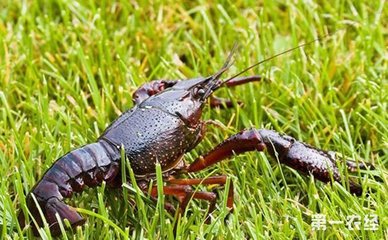 ���r���ʡ����ذك|Ԫ�̙C������I���ڲ��֡�