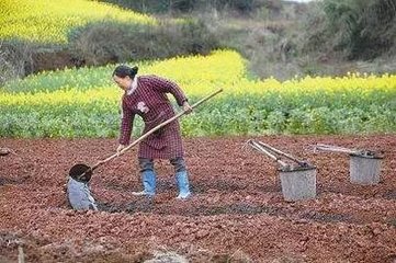 ����ʡ�y(c��)���䷽ʩ�ʌ�(sh��)�F(xi��n)��Ϣ��