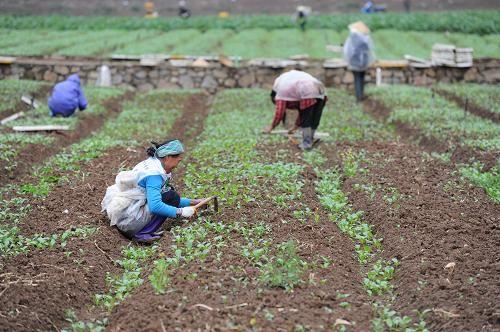 �����÷��б��� �m�r���Ī���`