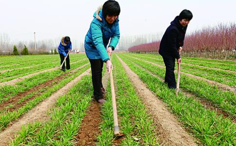 �������������F�� �N�Z�������