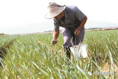 �ƌW(xu��)�䷽ʩ�ʴ�(sh��)��(j��)���ЙC�ʡ��������ʩ�ã���������ʮ���?x��n)|����ʮ���������һ�����g�V�Z����Դ�ǣ���ǰ�S�Ӻӵ����̶�����(j��ng)�����ĵ�(�vʷ�ϟo��(sh��)�ΰl(f��)��)��ĳ���ط�ԭ���ںӵĖ|�棬����������S��ˮ���ĵ����@���ط���׃?y��u)��ںӵ����档��������Մ�����Ї��r(n��ng)��Ժ���ϼ�ʩ�ʼ��g(sh��)��ϯ�ƌW(xu��)���w�����������Ї��r(n��ng)��Ժ���݌��վ�{��30���Տ�(f��)һ�յĿ���Գ֣��e����ϵ�y(t��ng)�����f�����ĿƌW(xu��)�䷽ʩ�ʴ�(sh��)��(j��)��  ����30��ǰ������ʲ