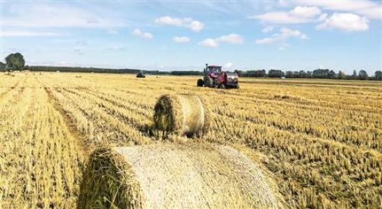 ���Ї��ЙC(j��)�ʮa(ch��n)�I(y��)�{(di��o)�顱���M(j��n)��(n��i)�ɹ�