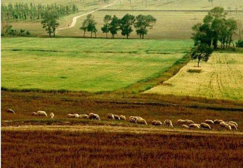 ��һ�ø����|(zh��)�����ҽM��������������|(zh��)���O(ji��n)�y(c��)���o(h��)���۽��巽��