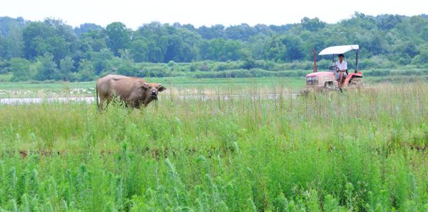 18�괺���С����������׌���r��n��