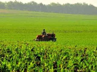 ����ʡ�l(f��)�Ŵ����䲥�J��49.45�|Ԫ