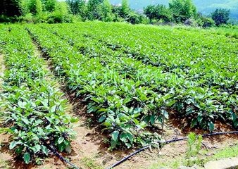 �L�𣺴�������Ҳ����ˮ��һ�w��