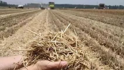 ؔ�������a�N300�f��֧�ֽն����ЙC�ʣ�