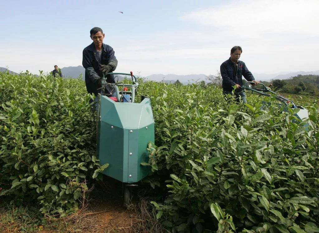 �ЙC�����������L50%���������ԇ�c����150���h��ǰ���o�ޣ�