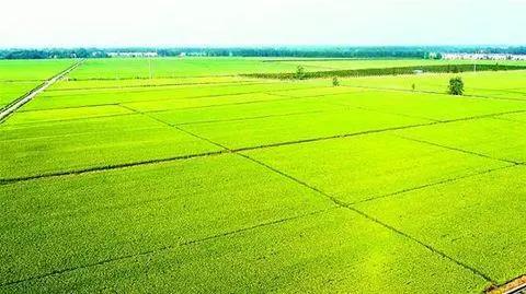 ȫ���������˳�