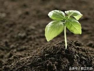 �����ữ�ĸ�Դ�������η��Σ�