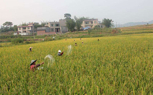 �ӱ�ʡ2018��ȫ�껯��ʹ����������6�f��