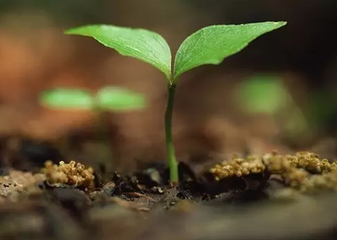 12��1�����@Щ������ˌ���ʩ��