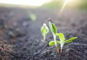 20�һ������й�˾���������L��r����