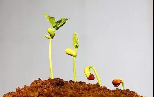 ȫ���r�I�a���������L60%����һ��һ·���ؾ����Ҍ��Ұ��}���\�_ˎ����һ��Ҫ�����@���£�