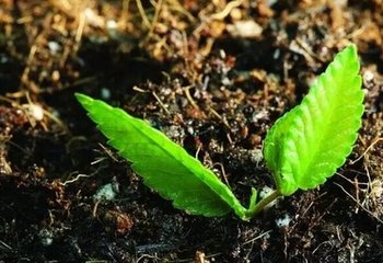 �^��ʩ���^�q����