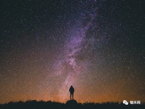 ׌����������_���׌������ޏʹ������ИI(y��)������