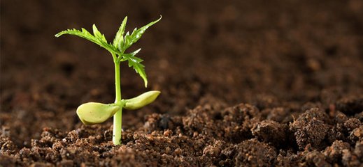 �������ϺϷ��������Ļ�������ޏ�(f��)�a(ch��n)�I(y��)���l(f��)չ�ǽ��c