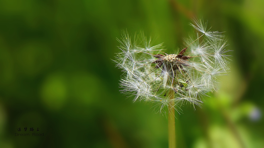 �������ޏͼ��g�c�a�I���lչ������̖  Փ�������k��