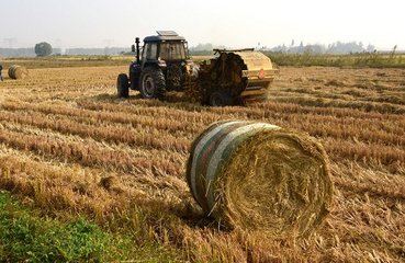 ��Ͷ�Y5000�fԪ�Ľն��C�����÷��ϻ��Ŀ����|�