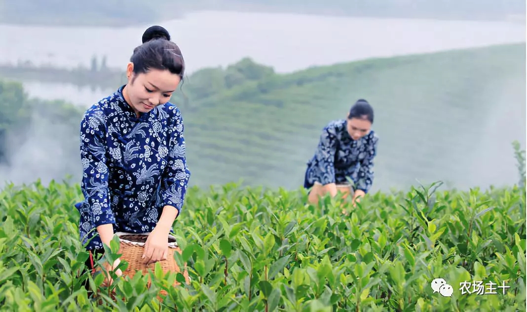 ��ҕ�ǡ����^������ߡ��¼��g(sh��)���³ɹ����׌������ޏ�(f��)�c���t(y��)�r(n��ng)�I(y��)���δ�_�ȟ�