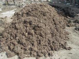 �㽭���U�ϰl(f��)��׃�ЙC���ϴ�����