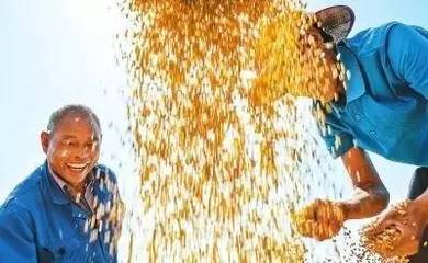 �r�I�r�岿�������ԁ������r�aƷ�r��ʳ��m�µ��߄�