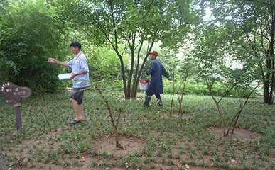 �F�ݴ����ƏV�ЙC�ʣ��lչ�Gɫ�r�I