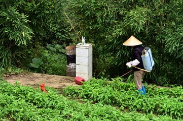 �r�I�r����Ⱦ�����Є�Ӌ���@ͨ�^ ���p�ٻ����rˎʹ����