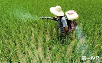 �r(n��ng)�I(y��)�����҇���ǰ���ꌍ(sh��)�F(xi��n)���������L