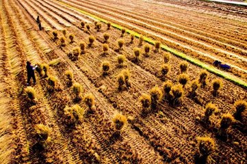 �҇�����ʩ�������L��Ҋ��Ч