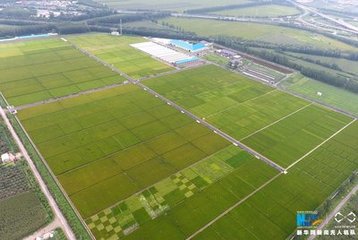 Һ�w�����Ј����l�ڼ�