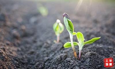 ������Ⱦ���η�ȫƱͨ�^(gu��)�����c(di��n)�O(ji��n)�y(c��)�����r(n��ng)ˎ����(y��n)����ؓ(f��)����؟(z��)�Σ�