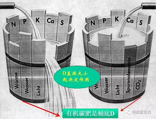 ��ֲ����Ǹ�ֲ�ᣬ̼���䌍�����ЙC����