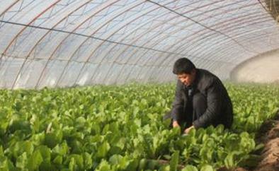 ����ʡ������6�����˲��ЙC���������ԇ�c�h