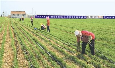 ˮ��һ�w���ġ����~������������Ч �r������