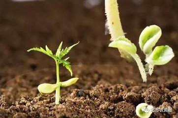 ����9����4헷��Ϻ������{�턩�y�������˜ʌ�ʩ��