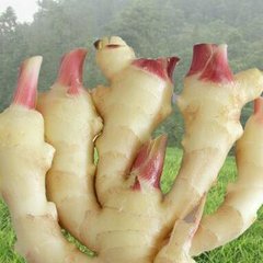 ΢�������׌�����Gɫ���a