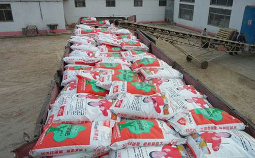  �r�Y�ИI���l���ļ������¡�����������Ă�?