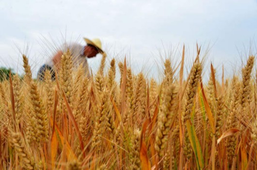 2018�����뽛���������h�������r�������ᷨ�к�׃����