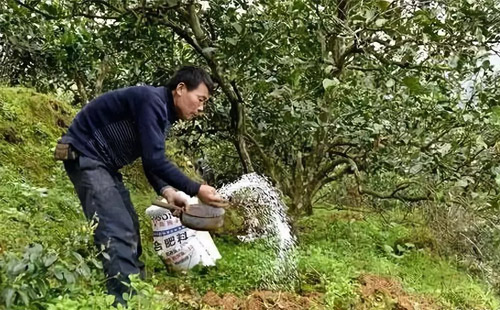 �ຣʡ��(chu��ng)���Gɫ�ЙC(j��)�r(n��ng)��a(ch��n)Ʒʾ��ʡ ��2023���ЙC(j��)��ȫ���w