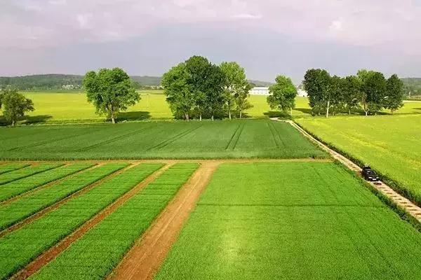 2019�����سа��ж�N�a�N��զ�I��