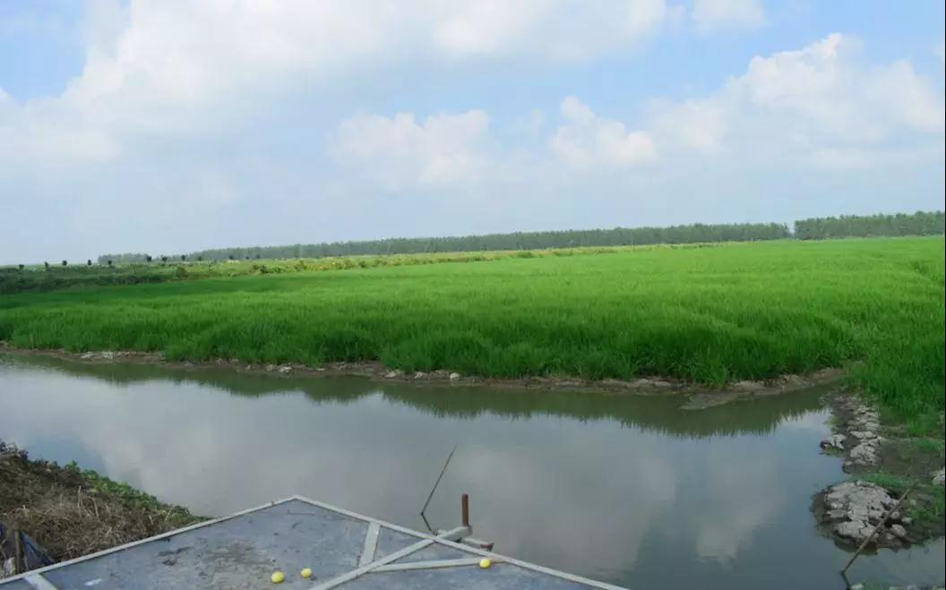 ��(sh��)��(j��)�y(t��ng)Ӌ���ġ�������ԭ�����@�ӣ�