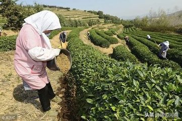 ���ϣ����˲��ЙC(j��)��������� 6ԇ�c(di��n)�h���У���Ӌ(j��)ʾ����e�� 10�f��