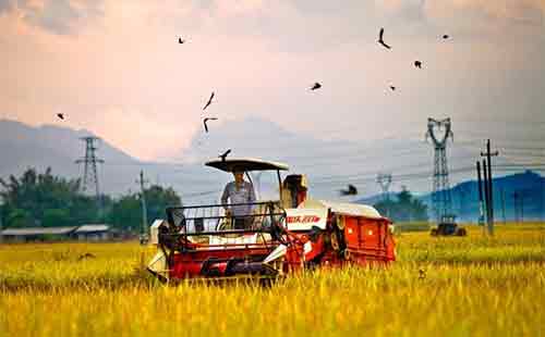 һ̖�ļ��ذ��l(f��)�����������ИI(y��)���a(ch��n)����ЩӰ���