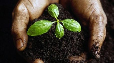 ���ͷ����ИI(y��)�l(f��)չѸ�� ���g(sh��)��(chu��ng)�����@����