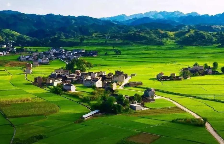 ȫ���׼ҵ��ʸ�Ч���Ä������������l����