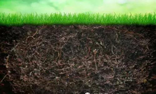 ����΢������ʵİl(f��)չ��r��