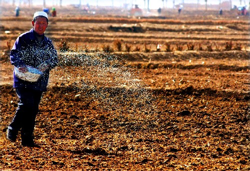 ����ʩ��æ���󔵓������ʵġ�؛�\֮�á�