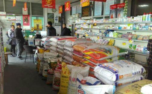 2019�껯���ИI���R��Щ���}��